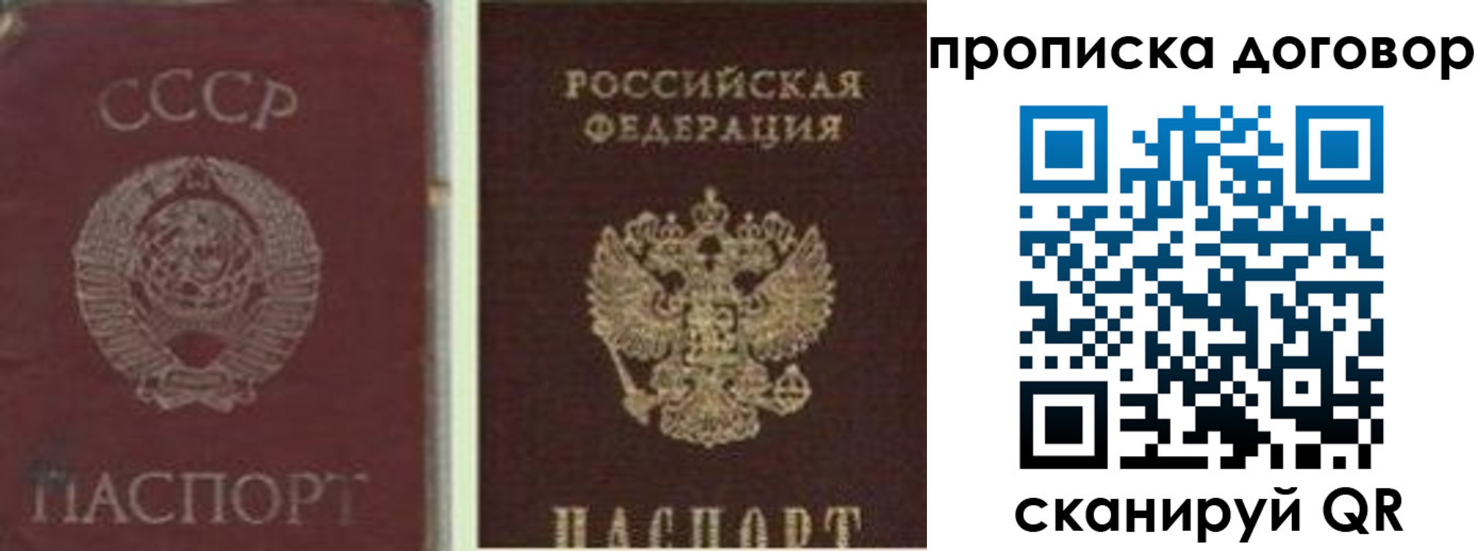 прописка гарантия в Сосновке